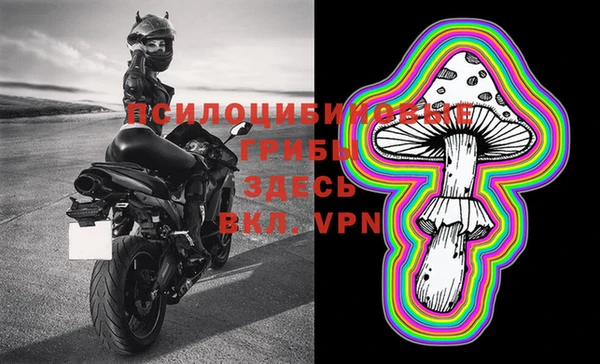 хмурый Россошь