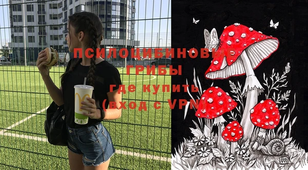 хмурый Россошь