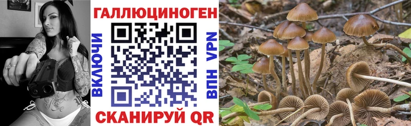 Купить где  Хвалынск  Псилоцибиновые грибы MAGIC MUSHROOMS 